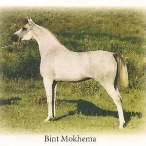*BINT MOKHEMA