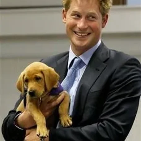 Royal, England, Elizabeth, King Charles the second, Price Robert, Prince William, Catherine (Kate) Middleton
