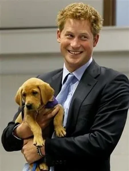 Royal, England, Elizabeth, King Charles the second, Price Robert, Prince William, Catherine (Kate) Middleton