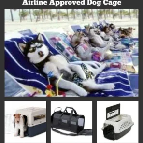 Airline approved soft dog cages