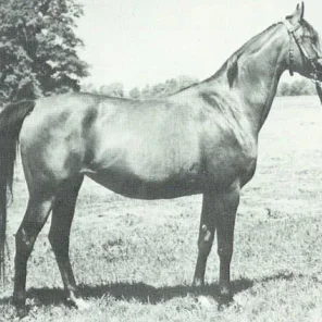 Algonkina