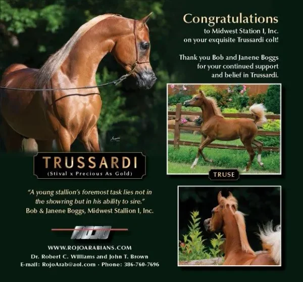 TRUSSARDI