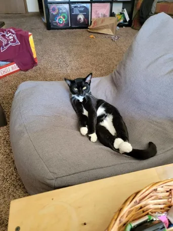She used to look like an alien