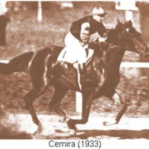 CEMIRA