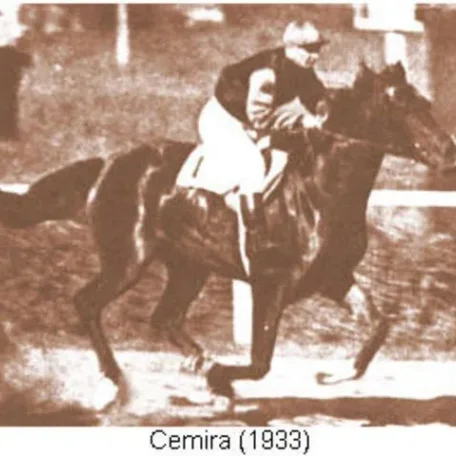 CEMIRA