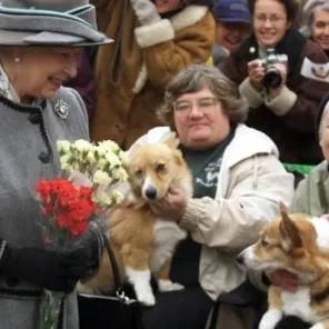 The Englilsh Royals and a Few of their Pets!