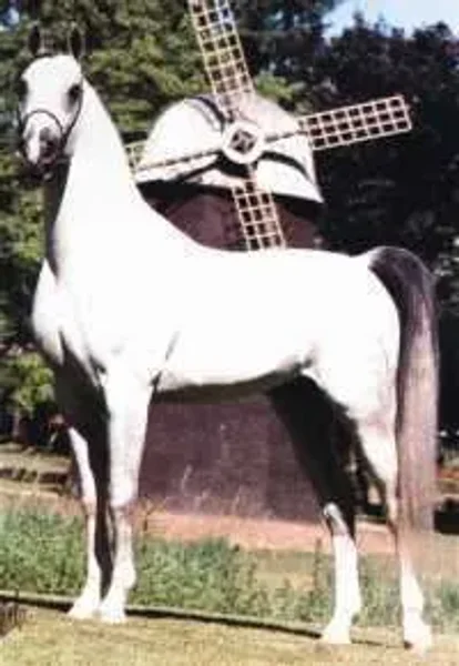 Rastano
