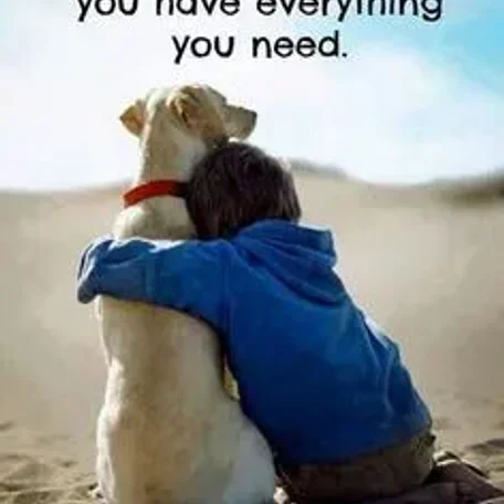 Loving your Dog and Pet
