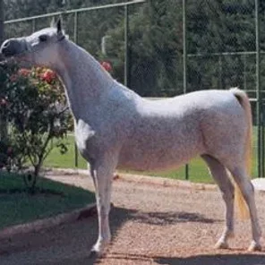 Lumiar Khemontkha