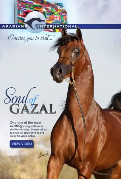 SOUL OF GAZAL SF