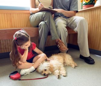 7 Things Pet Owners Do That Drive Veterinarians Crazy