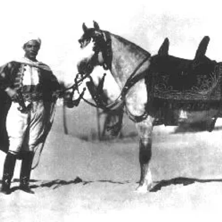 Jadaan gained fame by appearing in six films, three Tournament of Roses Parades, and many Arabian Horse Shows.