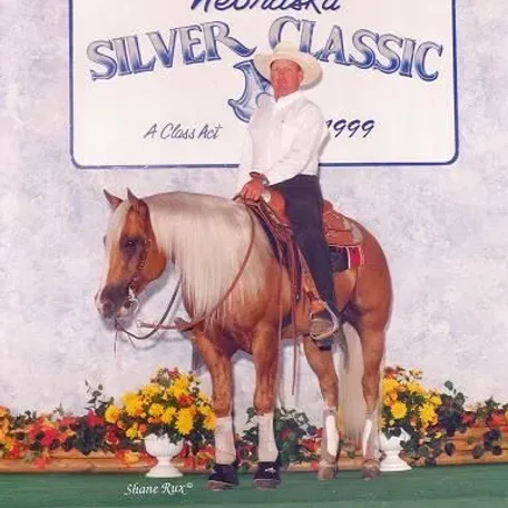 Shiners Ace