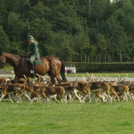 Kings, Queens, Princes, Princesses and other English and French Aristocracy and their Pets