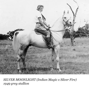 Silver Moonlight