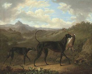 Reigning Cats and Dogs Pt 3