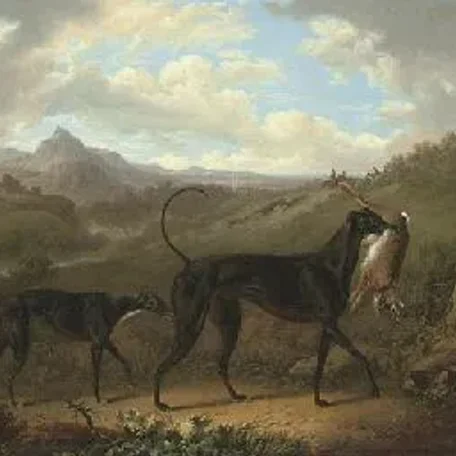 Reigning Cats and Dogs Pt 3