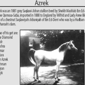Azrek