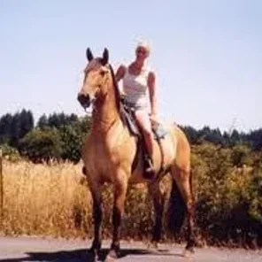 Kiger Mustang