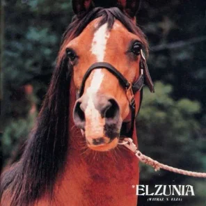 Elzunia
