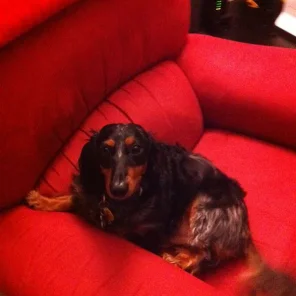 Rudy