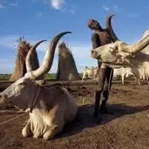 Aliad Dinka