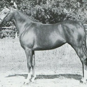 DELAHARIN