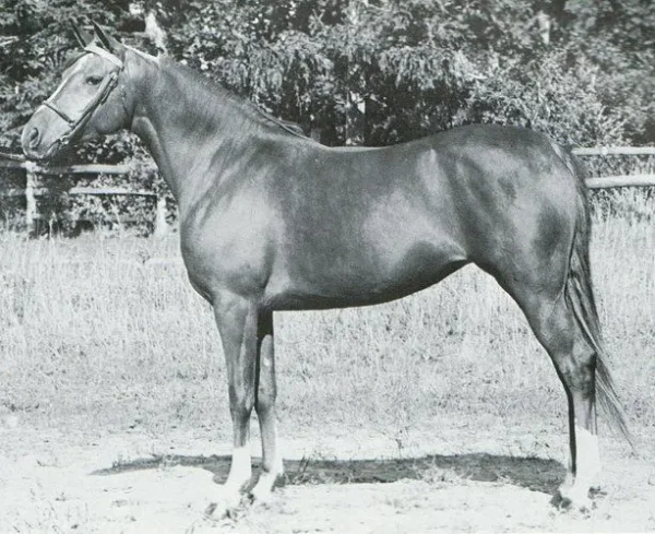 DELAHARIN