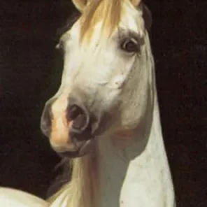 hamira
