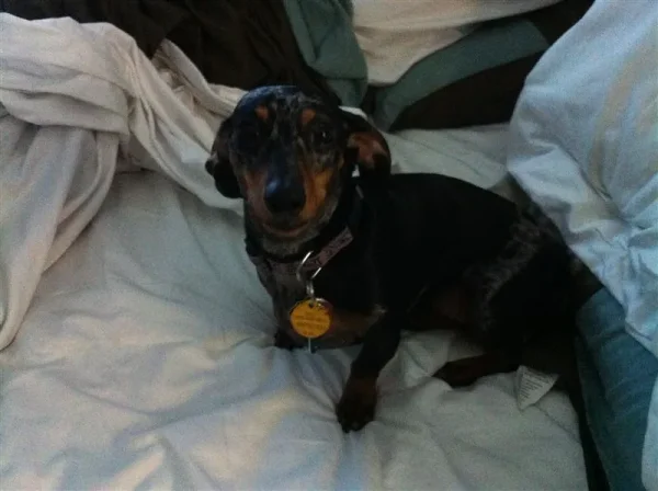 Roxy