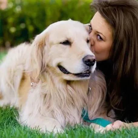 8 Things You Must Consider If You Are A New Pet Owner