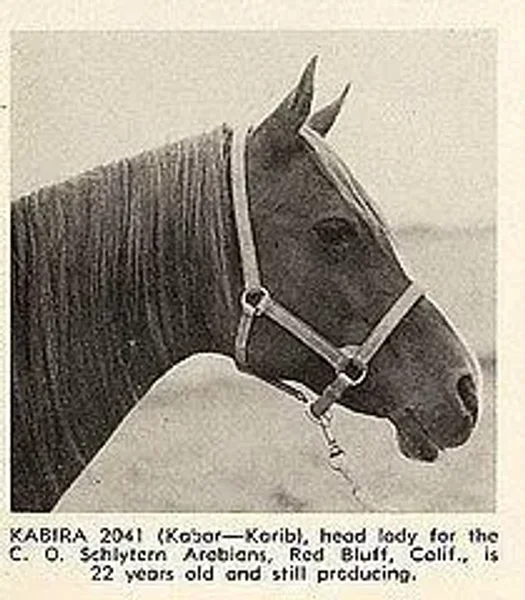 Kabira