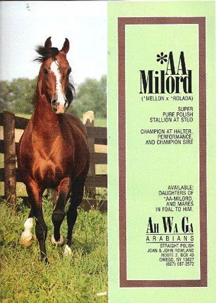 AA-Milord