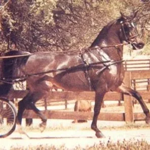 ROUFAH