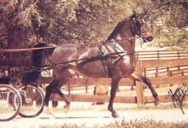 ROUFAH