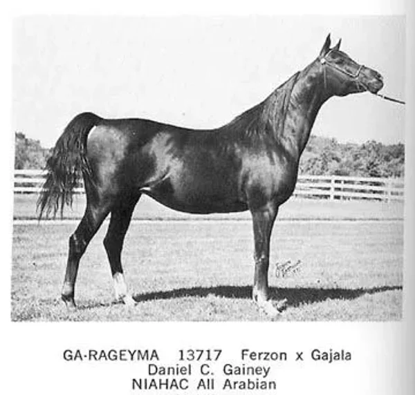 Ga-Rageyma
