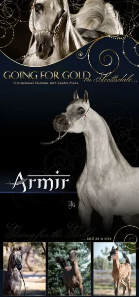 Armir