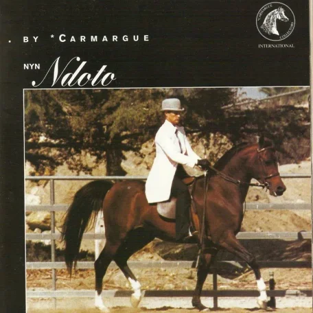 Nyn Ndoto