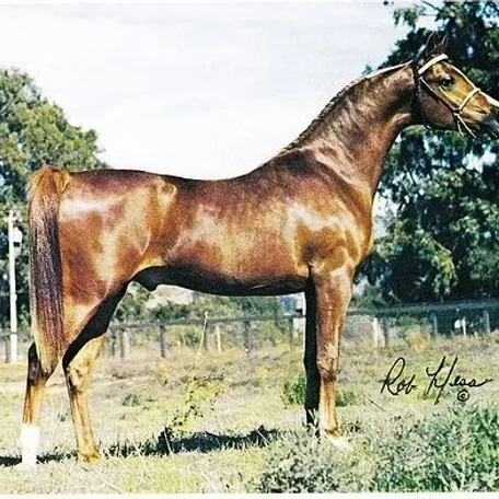 Valeroso