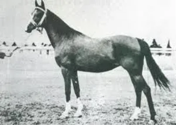 Fryga II