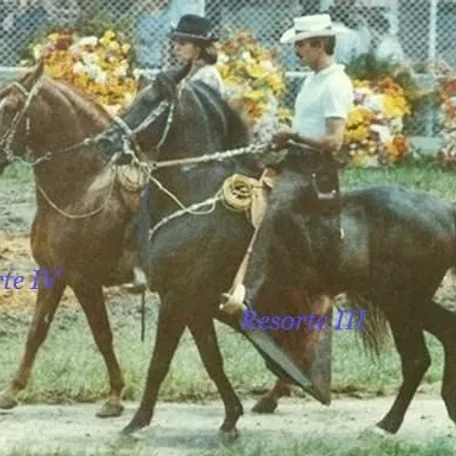 Resorte 3 and Resorte 4 -- 1980