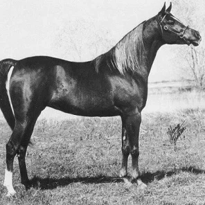 *ROMANAA II