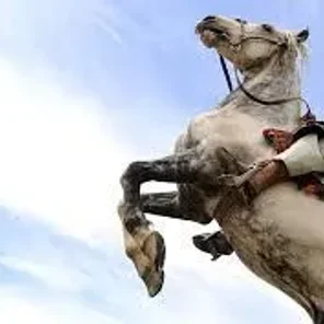 Buzkashi