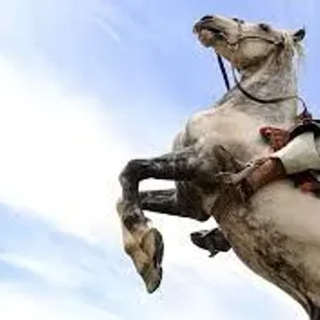 Buzkashi: The Most Dangerous Sport