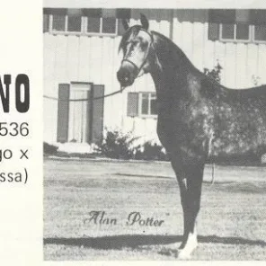 Paesano