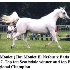 FA Moniet