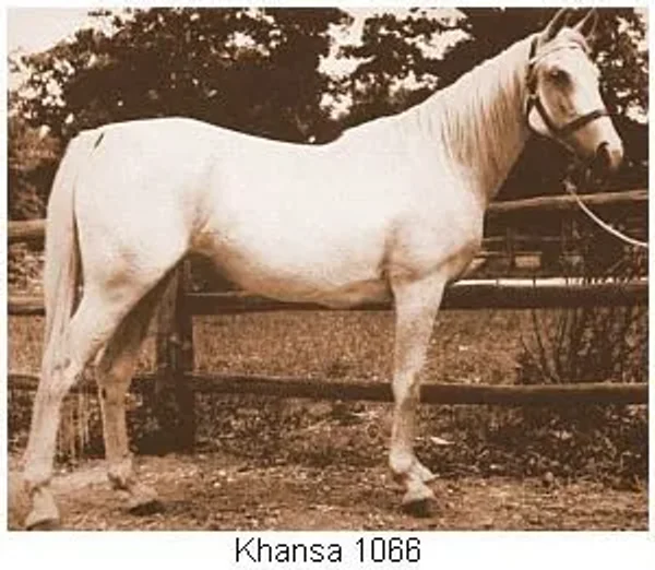 Khansa