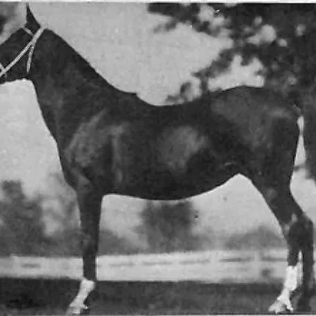 SANKIRAH