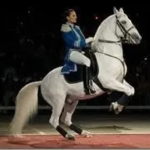 Lipizzan
