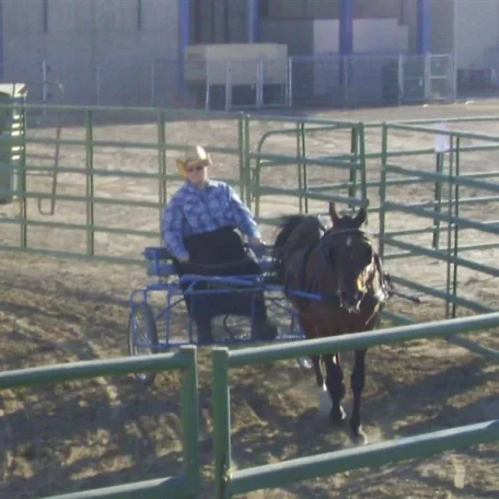 Spokane County Fair 2014